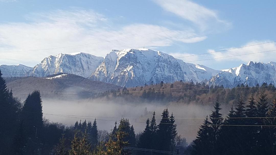 Treasure Mountain Predeal Exteriér fotografie